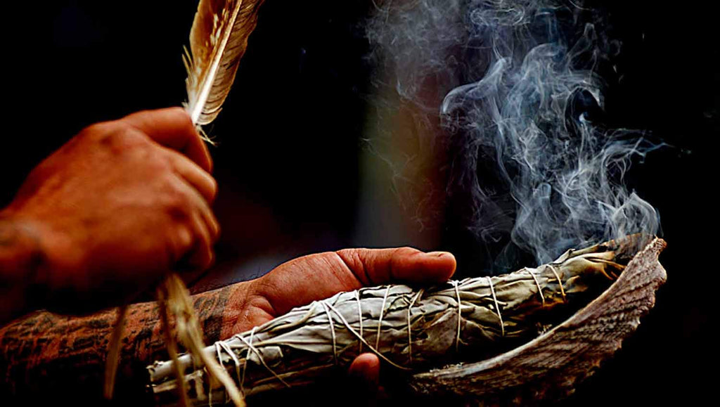 Smudge Herbs Pack California White Sage Cedar Blue sage (White Sage x 3 Units)