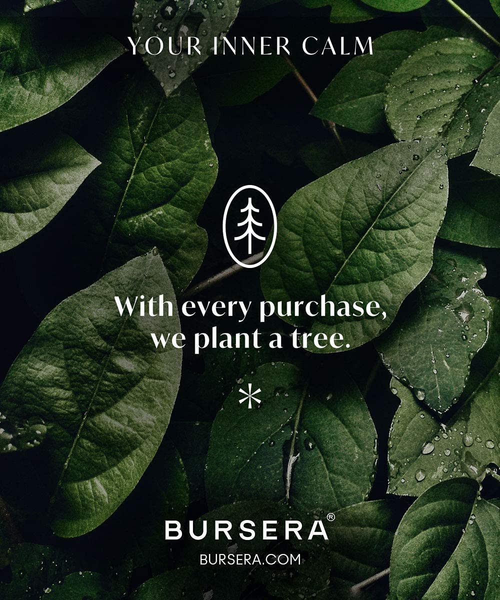 Bursera Balance Essential Oil Blend, Tree Planted with Every Order