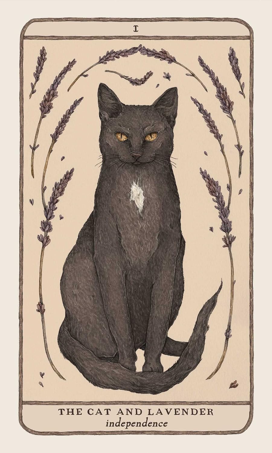 Woodland Wardens: 52-Card Oracle Deck & Guidebook