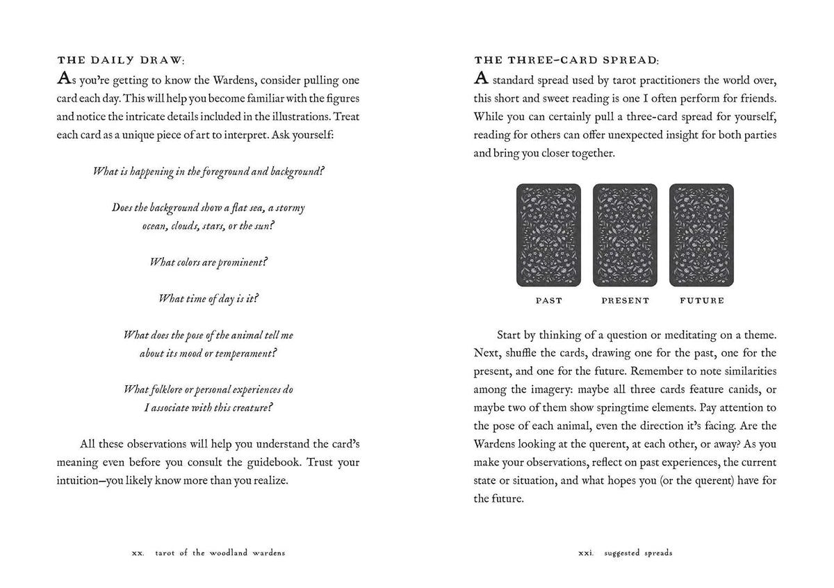 Tarot of the Woodland Wardens: 78-Card Deck & Guidebook