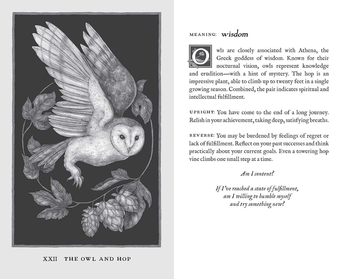 Woodland Wardens: 52-Card Oracle Deck & Guidebook