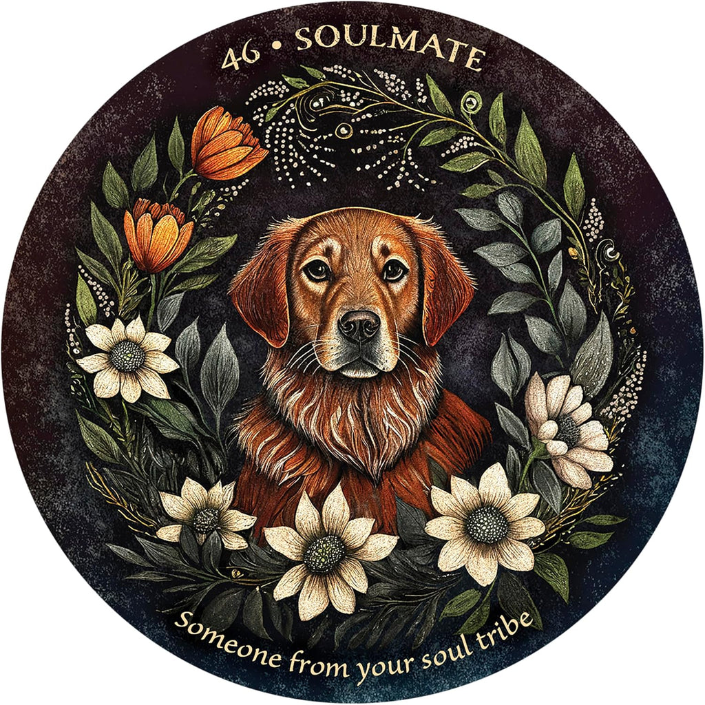 Arcana Folia Oracle Deck: 50-Card Round Deck